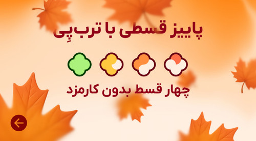 در پاییز با ترب پی اقساطی خرید کن