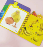 کتاب کوچولوی رنگ ها