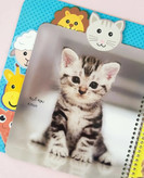 کتاب کوچولوی حیوان ها