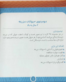 دومینو حیوانات