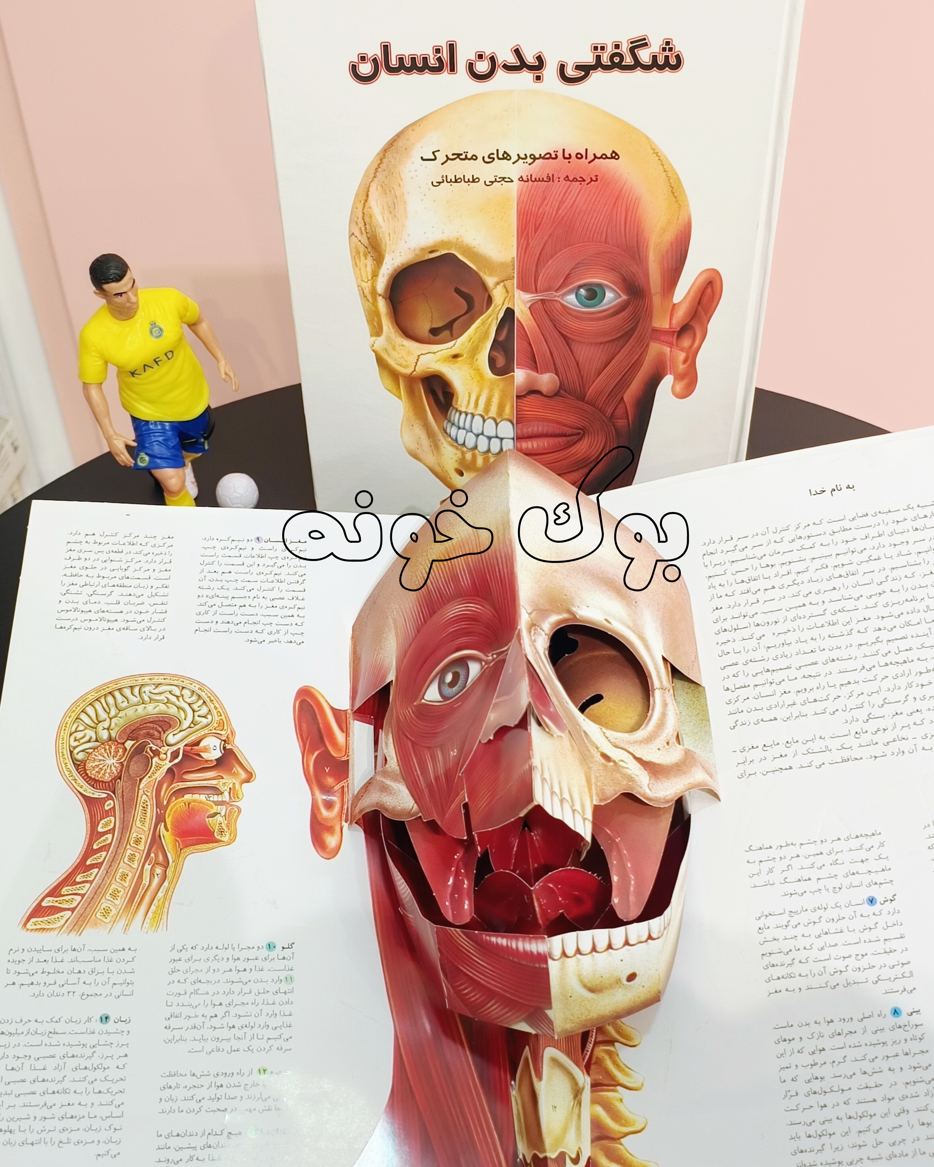 کتاب سه‌بعدی بدن انسان با صفحات pop-up متحرک