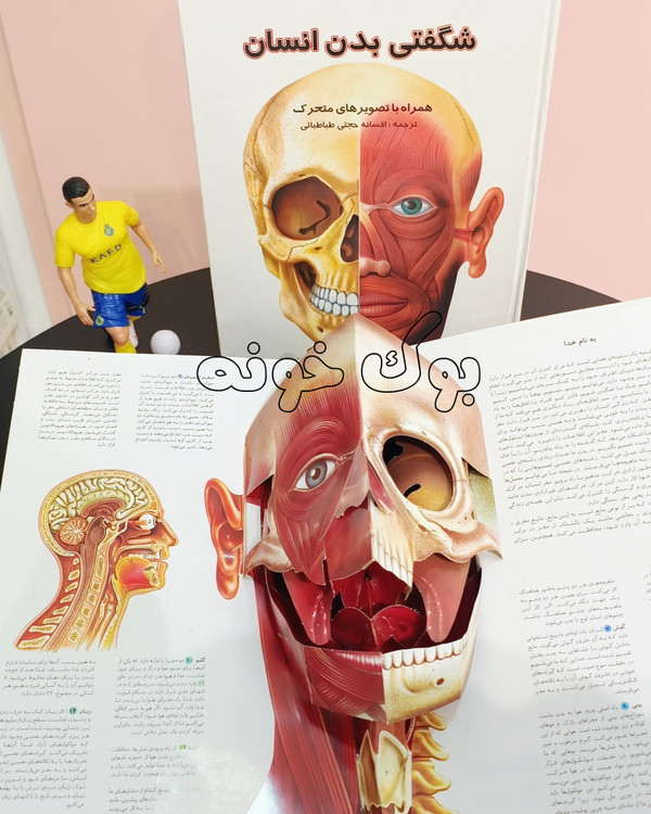 کتاب سهبعدی بدن انسان با صفحات pop-up متحرک