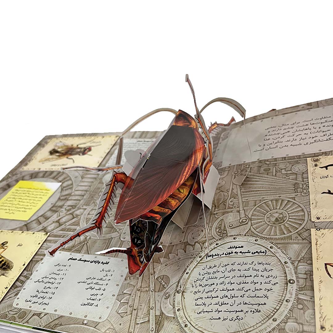 کتاب سه‌بعدی حشرات با طراحی Pop-Up