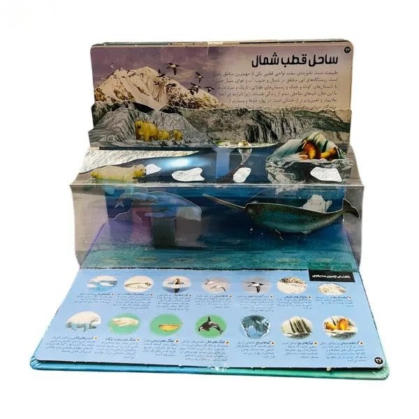 کاوش علمی درباره فصل‌ها، کوه‌ها، جنگل‌ها و دریاها