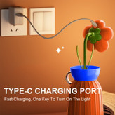 چراغ خواب شارژی طرح گل با گلدانهای رنگی و گلهای فانتزی